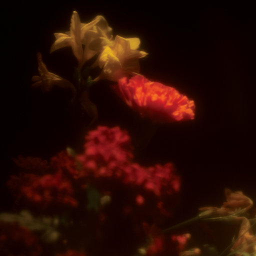 巨乳美女的裸体被操
